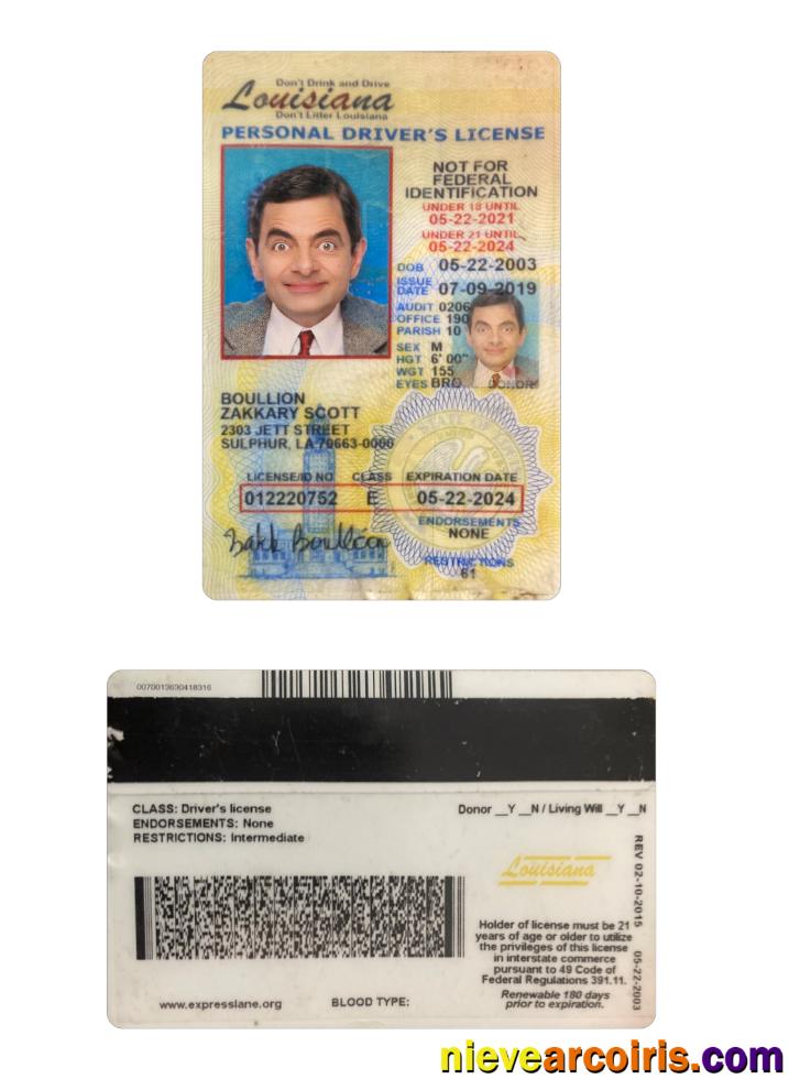 USA Louisiana driving license